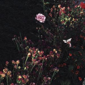 母狗跪地被打耳光
